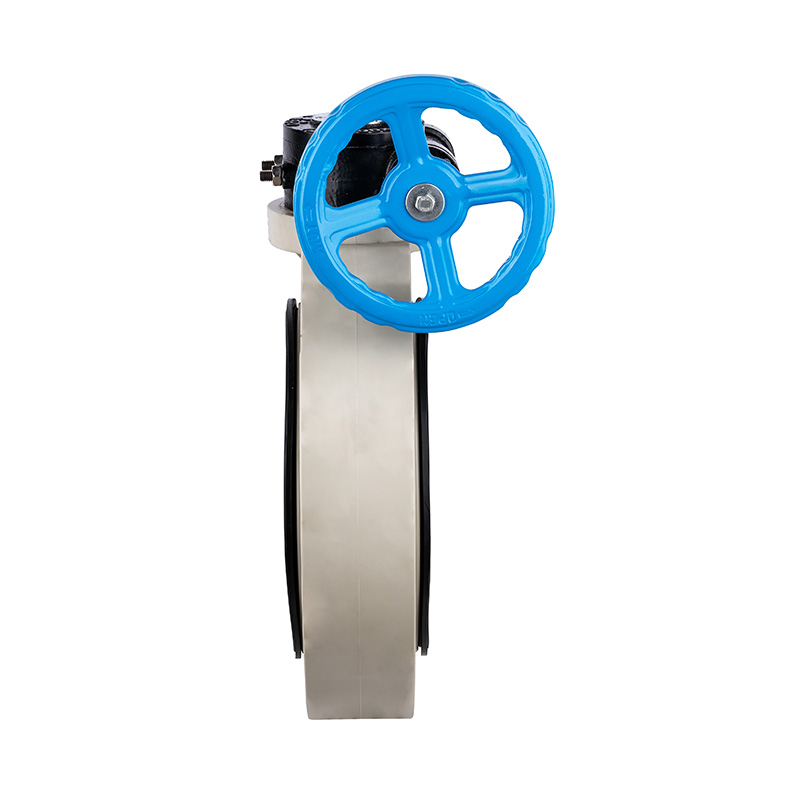 Comhla Féileacán Worm-Gear PPH D371X-10S Caighdeán DN32-1000 GB