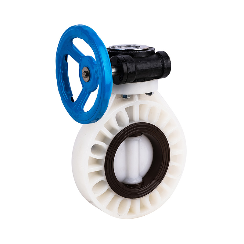 Comhla Féileacán Worm-Gear PVDF D371X-10F Caighdeán DN32-1000 GB