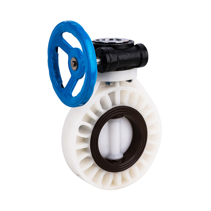 PVDF D371X-10F Comhla Féileacán Worm-Gear DN40-1000 1-1/2'-30' Caighdeán ANSI