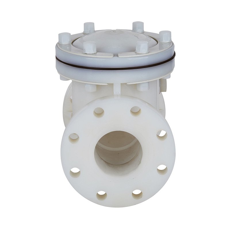 Comhla Seiceála Cineál Swing PVDF H44F-10F DN15-300 1/2'-12' Caighdeán ANSI