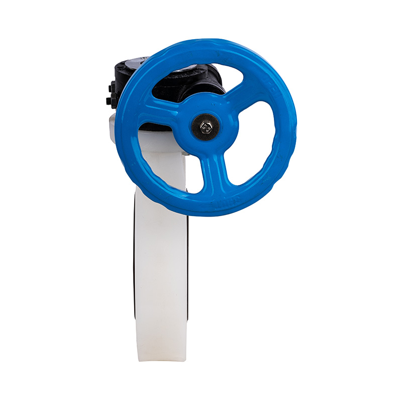 PVDF D371X-10F Comhla Féileacán Worm-Gear DN40-1000 40A-1000A Caighdeán JIS