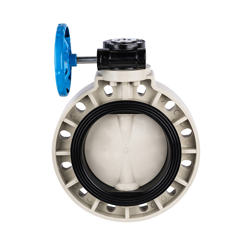 Comhla Féileacán PPH D371X-10S Worm-Gear DN40-1000 1-1/2'-30' Caighdeán ANSI