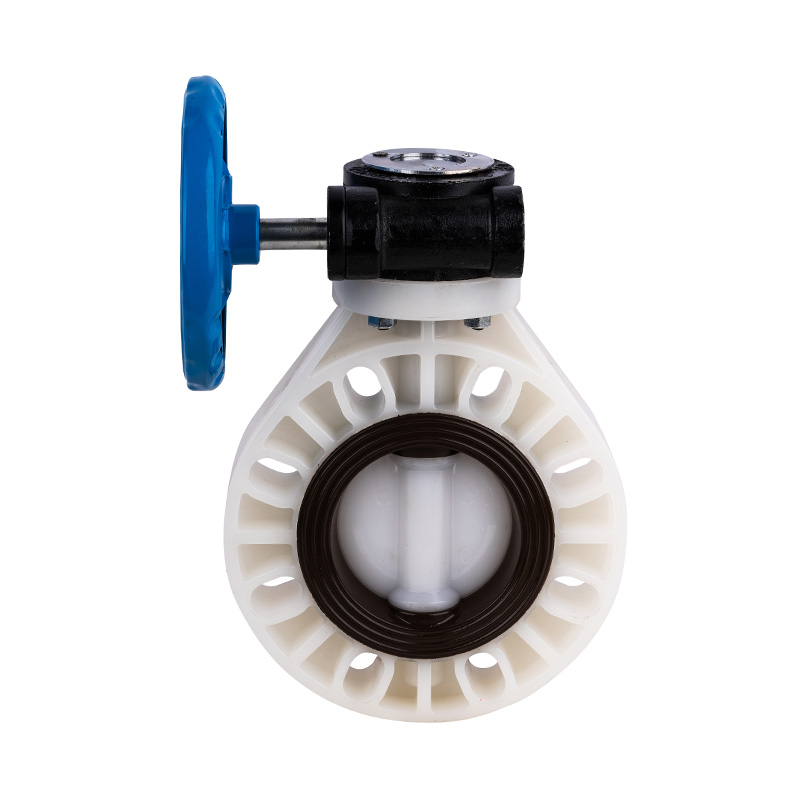 Comhla Féileacán Worm-Gear PVDF D371X-10F Caighdeán DN32-1000 GB