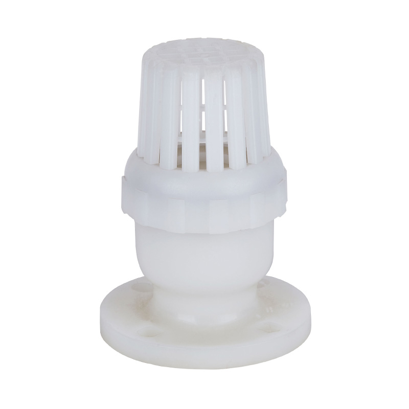 PVDF H42F-10F Comhla Bun DN50-200 2'-8' Caighdeán ANSI